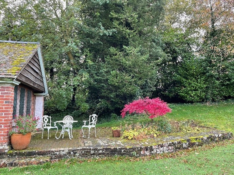 photo of garden in autumn